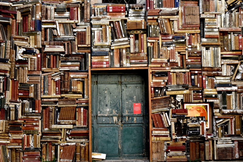 librairie-ST JEANNET-min_books-1655783